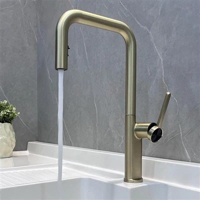 Faucet ดึงออกทองสีดำ